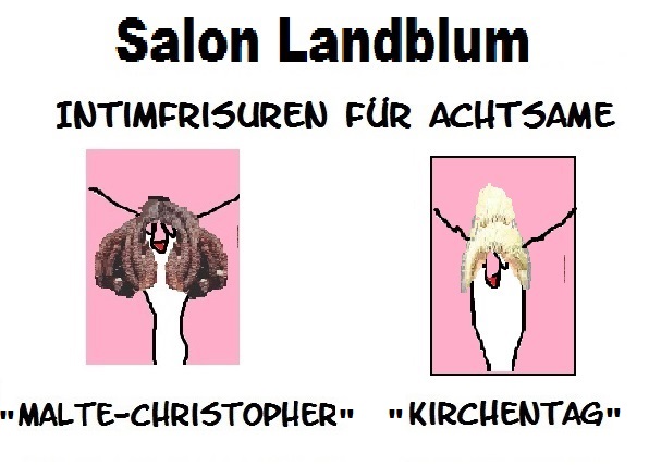 Frisuren3.jpg